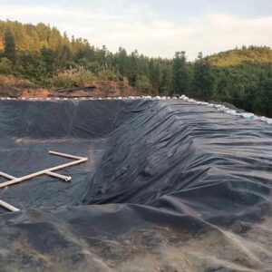 LDPE Geomembrane